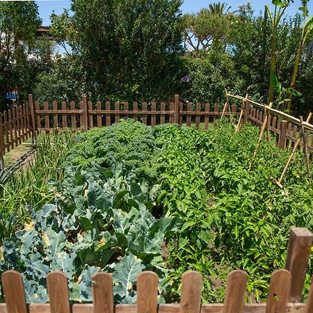 Casara Tres - 2 Dormitorios - Jardin Y Acceso Privado A La Playa 자호라 외부 사진